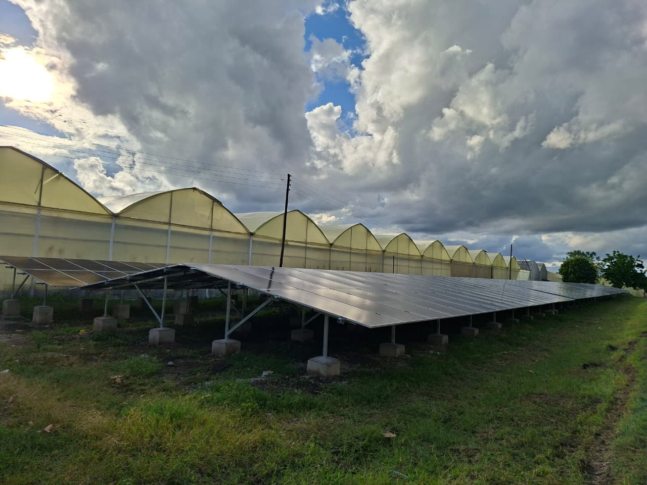 321kWp Grid-Tied image 156